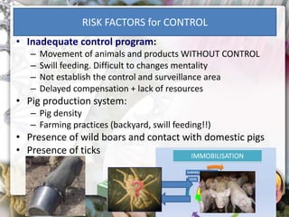 ASF global impact and control