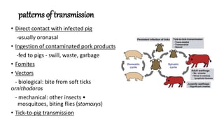 Pork Insect Asfarviridae- a brief description about virus | PPTX