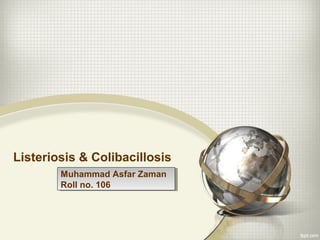 Listeriosis & Colibacillosis
Muhammad Asfar Zaman
Roll no. 106
Muhammad Asfar Zaman
Roll no. 106
 