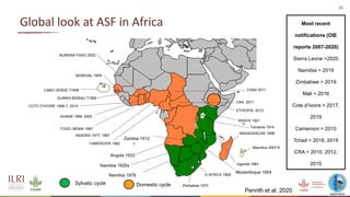 An update on the epidemiology of African swine fever in Africa