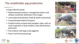 An update on the epidemiology of African swine fever in Africa