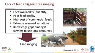An update on the epidemiology of African swine fever in Africa