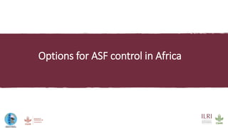 An update on the epidemiology of African swine fever in Africa