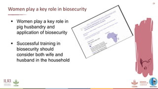 An update on the epidemiology of African swine fever in Africa