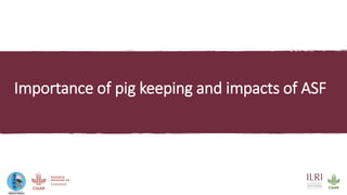 An update on the epidemiology of African swine fever in Africa