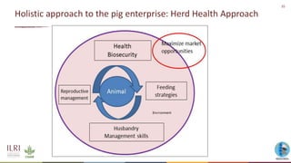 An update on the epidemiology of African swine fever in Africa