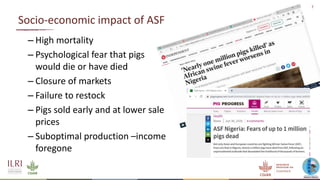 An update on the epidemiology of African swine fever in Africa