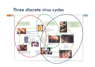 ASF in Africa: pathways to prevention and control