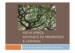 ASF in Africa: pathways to prevention and control