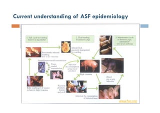 ASF in Africa: pathways to prevention and control