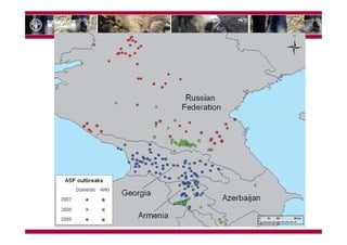 Understanding the pig sector for improved ASF control in Georgia—Cross cutting issues with Eastern Africa