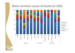 Strengthening pig value chains and managing ASF risk in Uganda: Identifying best bet solutions