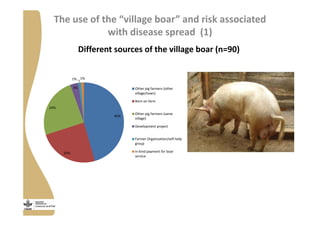 Strengthening pig value chains and managing ASF risk in Uganda: Identifying best bet solutions
