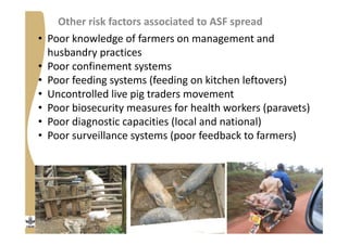 Strengthening pig value chains and managing ASF risk in Uganda: Identifying best bet solutions