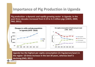 Strengthening pig value chains and managing ASF risk in Uganda: Identifying best bet solutions