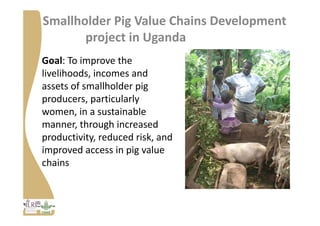 Strengthening pig value chains and managing ASF risk in Uganda: Identifying best bet solutions