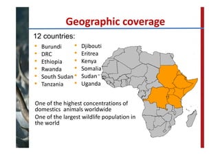 FAO‐ECTAD network and control strategy for ASF