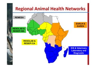 FAO‐ECTAD network and control strategy for ASF
