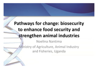 Pathways for change: Biosecurity to enhance food security and strengthen animal industries