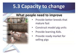 Pathways for change: Biosecurity to enhance food security and strengthen animal industries