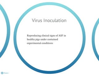 Understanding ASF epidemiology: A prerequisite for disease control