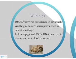 Understanding ASF epidemiology: A prerequisite for disease control