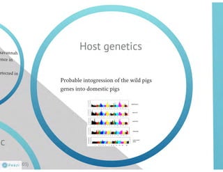 Understanding ASF epidemiology: A prerequisite for disease control