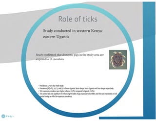 Understanding ASF epidemiology: A prerequisite for disease control