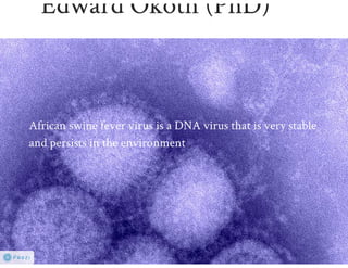 Understanding ASF epidemiology: A prerequisite for disease control