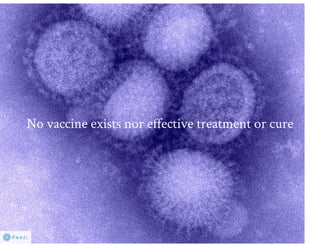 Understanding ASF epidemiology: A prerequisite for disease control