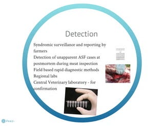 Understanding ASF epidemiology: A prerequisite for disease control