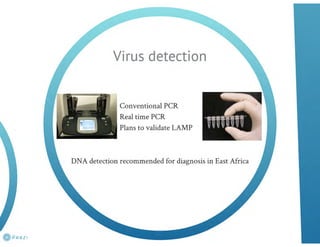 Understanding ASF epidemiology: A prerequisite for disease control