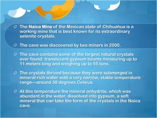 The Naica Mine of the Mexican state of Chihuahua is a
working mine that is best known for its extraordinary
selenite crystals.
The cave was discovered by two miners in 2000.
The cave contains some of the largest natural crystals
ever found: translucent gypsum beams measuring up to
11 meters long and weighing up to 55 tons.
The crystals thrived because they were submerged in
mineral-rich water with a very narrow, stable temperature
range—around 58 degrees Celsius.
At this temperature the mineral anhydrite, which was
abundant in the water, dissolved into gypsum, a soft
mineral that can take the form of the crystals in the Naica
cave.

 