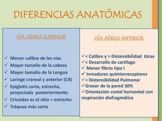 DIFERENCIAS ANATÓMICAS

      VÍA AÉREA SUPERIOR                   VÍA AÉREA INFERIOR



 Menor calibre de las vías          < Calibre y > Distensibilidad tórax
                                     < Desarrollo de cartílago
 Mayor tamaño de la cabeza
                                      Menor fibras tipo I
 Mayor tamaño de la Lengua           Inmadurez quimiorreceptores
 Laringe craneal y anterior (C4)    < Distensibilidad Pulmonar
 Epiglotis corta, estrecha,         Grosor de la pared 30%
  proyectada posteriormente.         Orientación costal horizontal con
 Cricoides es el sitio + estrecho   respiración diafragmática
 Tráquea más corta
 