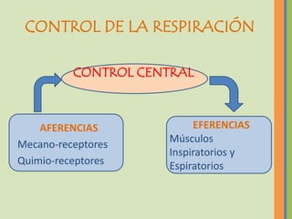 CONTROL DE LA RESPIRACIÓN

          CONTROL CENTRAL



    AFERENCIAS            EFERENCIAS
                     Músculos
Mecano-receptores
                     Inspiratorios y
Quimio-receptores    Espiratorios
 