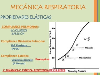 MECÁNICA RESPIRATORIA
PROPIEDADES ELÁSTICAS

COMPLIANCE PULMONAR:
       ∆ VOLUMEN
       ∆PRESIÓN

Compliance Dinámica Pulmonar
       Vol. Corriente
       (PPVA)

Compliance Estática
       volumen corriente Parénquima
        (P Meseta)

 C. DINÁMICA-C. ESTÁTICA: RESISTENCIA DE VÍA AÉREA
 