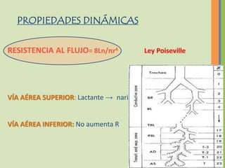 PROPIEDADES DINÁMICAS

RESISTENCIA AL FLUJO= 8Ln/πr4           Ley Poiseville




VÍA AÉREA SUPERIOR: Lactante → nariz → 50% del total de la R


VÍA AÉREA INFERIOR: No aumenta R
 