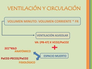 VENTILACIÓN Y CIRCULACIÓN

    VOLUMEN MINUTO: VOLUMEN CORRIENTE * FR


                         VENTILACIÓN ALVEOLAR

                     VA: (PB-47) X VCO2/PaCO2
  2CC*KILO
         ANATÓMICO
                             ESPACIO MUERTO
PaCO2-PECO2/PaCO2
           FISIOLÓGICO
 