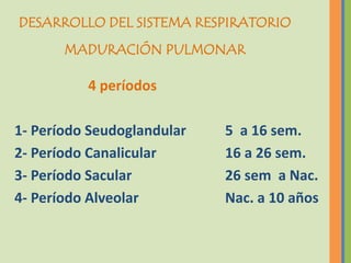 DESARROLLO DEL SISTEMA RESPIRATORIO
       MADURACIÓN PULMONAR

          4 períodos

1- Período Seudoglandular   5 a 16 sem.
2- Período Canalicular      16 a 26 sem.
3- Período Sacular          26 sem a Nac.
4- Período Alveolar         Nac. a 10 años
 