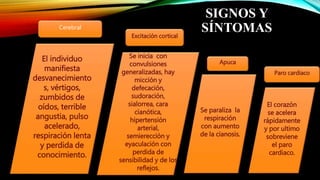 SIGNOS Y
SÍNTOMAS
El corazón
se acelera
rápidamente
y por ultimo
sobreviene
el paro
cardiaco.
Se paraliza la
respiración
con aumento
de la cianosis.
Se inicia con
convulsiones
generalizadas, hay
micción y
defecación,
sudoración,
sialorrea, cara
cianótica,
hipertensión
arterial,
semierección y
eyaculación con
perdida de
sensibilidad y de los
reflejos.
El individuo
manifiesta
desvanecimiento
s, vértigos,
zumbidos de
oídos, terrible
angustia, pulso
acelerado,
respiración lenta
y perdida de
conocimiento.
Cerebral
Excitación cortical
Apuca
Paro cardiaco
 