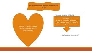pouco sangue vai para:
“reflexo do mergulho”
ESTÍMULO HIPÓXICO-ISQUÊMICO PARA O
FETO
DESVIO DE SANGUE PARA
O CÉREBRO ,CORAÇÃO E
SUPRA-RENAIS
PULMÕES
,INTESTINOS,FÍGADO,RINS,BAÇO,
OSSOS,MUSC. ESQUELÉTICOS E
PELE.
 