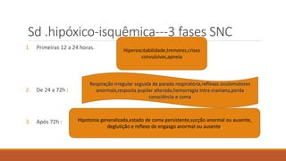 Sd .hipóxico-isquêmica---3 fases SNC
1. Primeiras 12 a 24 horas.
2. De 24 a 72h :
3. Após 72h :
Hiperexcitabilidade,tremores,crises
convulsivas,apneia
Respiração irregular seguida de parada respiratória,reflexos oculomotores
anormais,resposta pupilar alterada,hemorragia intra-craniana,perda
consciência e coma
Hipotonia generalizada,estado de coma persistente,sucção anormal ou ausente,
deglutição e reflexo de engasgo anormal ou ausente,
 