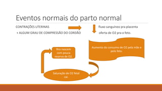 Eventos normais do parto normal
CONTRAÇÕES UTERINAS fluxo sanguíneo pra placenta
+ ALGUM GRAU DE COMPRESSÃO DO CORDÃO oferta de O2 pra o feto.
Aumento do consumo de O2 pela mãe e
pelo feto.
Saturação de O2 fetal
cai.
Rns nascem
com pouca
reserva de O2.
 