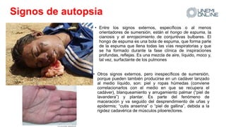 Signos de autopsia
• Entre los signos externos, específicos o al menos
orientadores de sumersión, están el hongo de espuma, la
cianosis y el enrojecimiento de conjuntivas bulbares. El
hongo de espuma es una bola de espuma, que forma parle
de la espuma que llena todas las vías respiratorias y que
se ha formado durante la fase clínica de inspiraciones
profundas, reflejas. Es una mezcla de aire, líquido, moco y,
tal vez, surfactante de los pulmones
• Otros signos externos, pero inespecíficos de sumersión,
porque pueden también producirse en un cadáver lanzado
al medio líquido, son: piel y ropas húmedas (conviene
correlacionarlos con el medio en que se recupera el
cadáver), blanqueamiento y arrugamiento palmar (“piel de
lavandera”) y plantar. Es parte del fenómeno de
maceración y va seguido del desprendimiento de uñas y
epidermis; “cutis anserina” o “piel de gallina”, debida a la
rigidez cadavérica de músculos piloerectores.
 