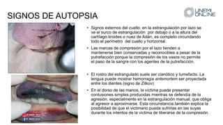 SIGNOS DE AUTOPSIA
• Signos externos del cuello: en la estrangulación por lazo se
ve el surco de estrangulación por debajo o a la altura del
cartílago tiroides o nuez de Adán, es completo circundando
todo el perímetro del cuello y horizontal.
• Las marcas de compresión por el lazo tienden a
mantenerse bien conservadas y reconocibles a pesar de la
putrefacción porque la compresión de los vasos no permite
el paso de la sangre con los agentes de la putrefacción.
• El rostro del estrangulado suele ser cianótico y tumefacto. La
lengua puede mostrar hemorragia antemortem ser proyectada
entre los dientes (signo de Zitkov)
• En el dorso de las manos, la víctima puede presentar
contusiones simples producidas mientras se defendía de la
agresión, especialmente en la estrangulación manual, que obliga
al agresor a aproximarse. Esta circunstancia también explica la
posibilidad de que el victimario pueda sufrirlas en las suyas
durante los intentos de la victima de liberarse de la compresión.
 