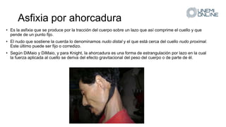 Asfixia por ahorcadura
• Es la asfixia que se produce por la tracción del cuerpo sobre un lazo que así comprime el cuello y que
pende de un punto fijo.
• El nudo que sostiene la cuerda lo denominamos nudo distal y el que está cerca del cuello nudo proximal.
Este último puede ser fijo o corredizo.
• Según DiMaio y DiMaio, y para Knight, la ahorcadura es una forma de estrangulación por lazo en la cual
la fuerza aplicada al cuello se deriva del efecto gravitacional del peso del cuerpo o de parte de él.
 