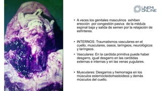 • A veces los genitales masculinos exhiben
erección por congestión pasiva de la médula
espinal baja y salida de semen por la relajación de
esfínteres.
• INTERNOS: Traumatismos vasculares en el
cuello, musculares, oseos, laríngeos, neurológicos
y laríngeos.
• Vasculares: En la carótida primitiva puede haber
desgarro, igual desgarro en las carótidas
externas e internas y en las venas yugulares.
• Musculares: Desgarros y hemorragia en los
músculos esternocleidomastoideos y demás
músculos del cuello.
 