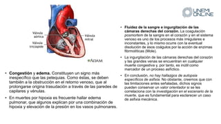 • Congestión y edema. Constituyen un signo más
inespecífico que las petequias. Como éstas, se deben
también a la obstrucción en el retorno venoso, que al
prolongarse origina trasudación a través de las paredes de
capilares y vénulas.
• En muertes por hipoxia es frecuente hallar edema
pulmonar, que algunos explican por una combinación de
hipoxia y elevación de la presión en los vasos pulmonares.
• Fluidez de la sangre e ingurgitación de las
cámaras derechas del corazón. La coagulación
posmortem de la sangre en el corazón y en el sistema
venoso es uno de los procesos más irregulares e
inconstantes, y lo mismo ocurre con la eventual
disolución de esos coágulos por la acción de enzimas
fibrmolíticas (Mole).
• La ingurgitación de las cámaras derechas del corazón
y las grandes venas se encuentran en cualquier
muerte congestiva y, por tanto, es inútil como
marcador de un proceso asfíctico.
• En conclusión, no hay hallazgos de autopsia
específicos de asfixia. No obstante, creemos que con
las limitaciones antes señaladas, dichos signos
pueden conservar un valor orientador si se les
correlaciona con la investigación en el escenario de la
muerte, que es fundamental para esclarecer un caso
de asfixia mecánica.
 