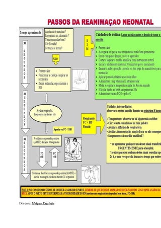 Docente: Melque Escrivão
 