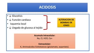 ACIDOSIS
• ↓ Glucolisis
• ↓ Función cardiaca
• Isquemia local
• ↓ Llegada de glucosa al tejido
ALTERACION DE
BOMBAS DE
ION...